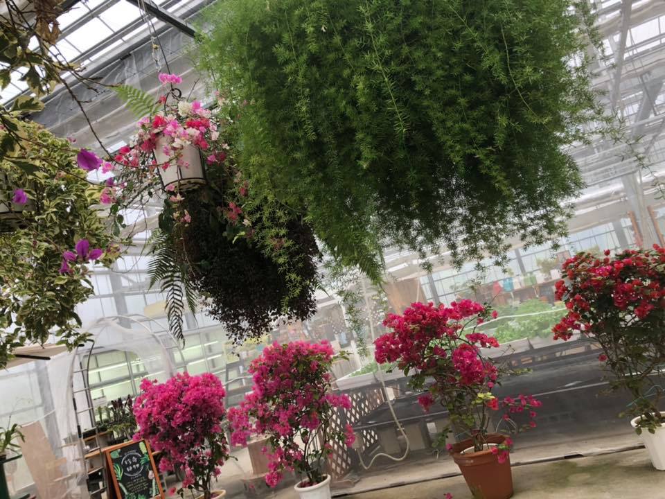 体感植物温室スーパーファーム
